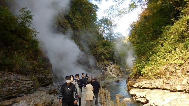 ２０２１年１０月２４日　晴れ<br />　大湯温泉から泥湯温泉に向かう途中小安峡に立ち寄る。渓谷、渓流と呼ばれる名勝には数多く訪れたが、ここは一味違ってた。深さ６０ｍのＶ字峡谷もさることながら、遊歩道間近の岩の割れ目から蒸気や高温の温泉が噴き出している。音を伴っているので迫力があった。お昼にはこの地が発祥の稲庭うどんを頂いた。<br />　　<br />　<br />【旅程】<br />　10/21　神戸空港→花街空港→大沢温泉・湯治屋（泊）<br />　10/22　大沢温泉・湯治屋→山の駅「昭和の学校」→鉛温泉藤三旅館（立寄り湯）→夏油温泉・湯元夏油（泊）<br />　10/23　夏油温泉・湯元夏油→猊鼻渓→平泉（中尊寺、毛越寺、達谷窟毘沙門堂、厳美渓）→温湯温泉・佐藤旅館（泊）<br />★10/24　温湯温泉・佐藤旅館→大湯温泉・安部旅館（立寄り湯）→小安峡→泥湯温泉（湯巡り）→河原毛地獄→瀬見温泉・喜至楼（泊）<br />　10/25　瀬見温泉→中山平温泉（湯巡り）→鳴子峡、尿前の関→東鳴子温泉（湯巡り）→東鳴子温泉・高友旅館（泊）<br />　10/26　東鳴子温泉・高友旅館→重伝建「金ヶ崎町城内諏訪小路」→花巻空港→伊丹空港