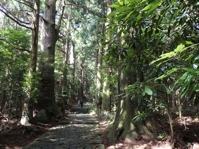 熊野古道は世界遺産に登録されています。<br />三重県、奈良県、和歌山県、大阪府にまたがっています。<br />ユネスコの世界遺産「紀伊山地の霊場と参詣道」に指定されているのは、大阪府を除いた三重県、奈良県、和歌山県県の三県です。※<br />そして熊野三山とは、熊野本宮大社、熊野速玉大社、熊野那智大社です。<br />今回はツアーで行きましたので、スポットライトは外さず、それ以外はササっとバスで巡りました。何とも効率的です。<br />その旅程は次のとおりです。<br /><br /><br />【旅程】<br />8月18日(木)1日目<br />品川駅:7時33分発(新幹線ひかり633号)→名古屋駅:9時14分着<br />↓<br />名古屋駅バス乗場発:9時30分頃(観光バス)→伊勢神宮駐車場着:11時40分頃<br />↓<br />おはらい町~おかげ横丁<br />すし久(ランチ)<br />赤福(喫茶)<br />↓<br />伊勢神宮(皇大神宮(内宮))13時15分頃~15時頃<br />↓<br />伊勢神宮発:15時10分頃~勝浦観光桟橋乗り場:17時40分頃<br />勝浦観光桟橋発:17時50分頃(船)→ホテル浦島着:18時頃<br /><br />8月19日(金)2日目<br />ホテル浦島発:8時頃(船)→勝浦観光桟橋着:8時10分頃<br />↓<br />勝浦観光桟橋発:8時15分頃→大門坂入口8時30分頃着<br />↓<br />大門坂入口発:8時50分頃(徒歩)~9時40分頃<br />↓<br />(途中車で移動)<br />↓<br />熊野那智大社→那智山青岸渡寺:9時50分頃~10時20分頃<br />↓<br />休憩(喫茶サービス)10時20分から10時30分頃<br />↓<br />那智の滝:10時40分頃~11時20分頃<br />↓<br />那須速玉大社:11時40分頃→12時10分頃<br />↓<br />ランチ(瀞峡めぐりの里)12時30分頃~13時10分頃<br />↓<br />吊り橋(山彦橋):13時30分頃→14時頃<br />↓<br />熊野本宮大社~大斎原:14時45分頃~15時30分頃<br />↓<br />川湯みどりや:16時頃<br /><br />8月20日(土)3日目<br />川湯みどりや:8時頃発→高野山:10時40分頃<br />↓<br />奥の院:10時40分頃~12時頃<br />↓<br />ランチ(高野物産 一の橋観光センター):12時10分頃~12時50分頃<br />↓<br />壇上伽藍:12時55分頃~13時40分頃<br />↓<br />高野山:13時45分頃(車)~名古屋駅:18時20分頃(交通事故渋滞のため)<br />↓<br />名古屋駅:19時31分発(新幹線ひかり662号)→品川駅:21時12分着<br /><br />※ 大阪府は世界遺産に指定されていませんが、実際には大阪市中央区天満橋京町に、「紀伊地」として現在も「くまの街道」の起点の碑があります。<br />近世以降、この紀伊地と中辺地が区分され、中辺地は指定されていますが、紀伊地は指定されていません。<br />ただ実際には大阪府も参詣道になっていました。