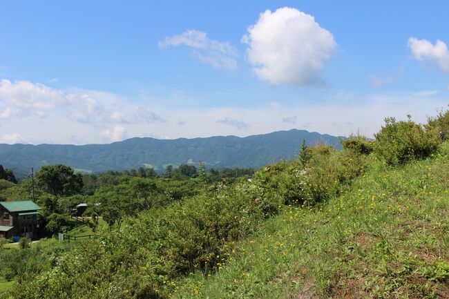 ６月～箱根１泊招待してくれた娘夫婦に、さっそくお礼の気持ちを込めて旅行を計画してみました。<br />倉敷アイビースクエアは夫の実家に帰省する際、時間調整に度々寄った思い出があります。<br />ご存知の方も多いと思いますが～こちらは明治時代の倉敷紡績所(現クラボウ)発祥工場の外観や立木を可能な限り保存し、再利用して生まれたホテル兼文化施設です。<br />建物内で泊まることが出来るようだけど、どういう感じで過ごせるのか・・<br />・・以前から内心、興味がありました。<br />後編は倉敷アイビースクエアにチェックイン後、夕食をとりに行くところからです。