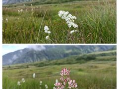 立山最後の日は弥陀ヶ原お散歩して富山に向かいます。