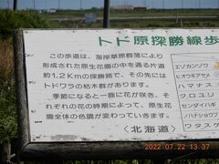 ｛北方領土近接「野付半島」 ネイチャーセンター｝北海道一周豪華バス菫号ツアーの旅　3２