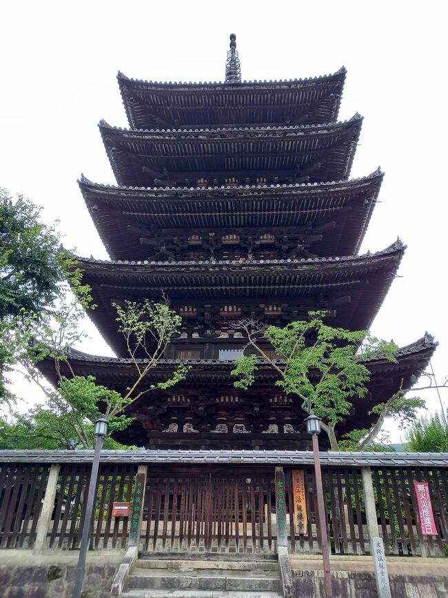 当初は、宝塚2泊、京都3泊の予定だったけど…<br />コロナで宝塚月組公演が中止になり、京都のみの<br />5泊6日の旅となりました。<br /><br />暑い暑い真夏は京都。<br />予定は、ぎっしり詰め込まずのんびり旅となりました。