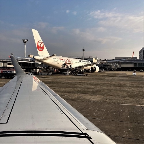 JALどこかにマイル2回目<br />松山になりました!<br /><br />1泊2日の1人旅です。<br /><br />蛇口ジュース飲んで松山城行って美味しいもの食べてレトロ建築見たりの街歩き。<br /><br />松山中心部は坂道もほとんどなくて商店街などもあってとても歩きやすい街でした。<br /><br /><br />