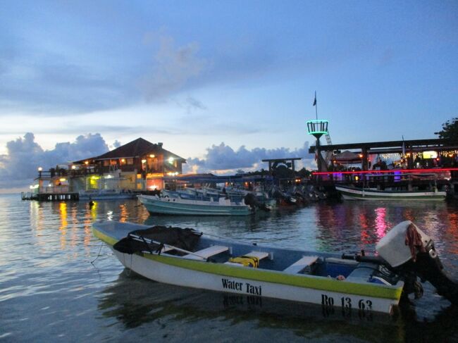 タイです。<br />ホンジュラスのビーチリゾート、ロアタン島3日目です。