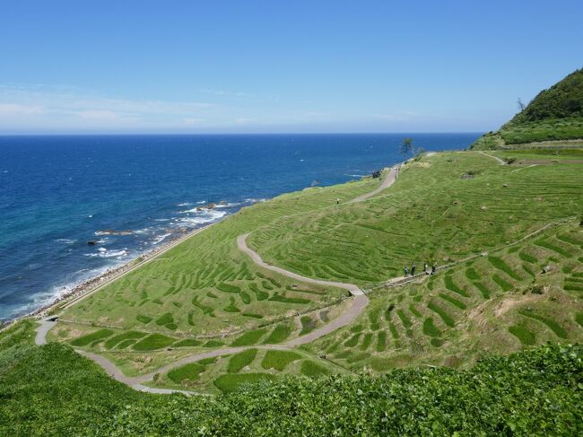 【前編】<br />6/29（水）八王子→長野道松本IC→高山→白川郷→白山白川郷ホワイトロード→白山吉野オートキャンプ場泊<br />6/30（木）白山吉野オートキャンプ場→白山比咩神社→コスモアイル羽咋→Camping Spot Hamano<br />【後編】<br />7/1（金）禄剛崎→白米千枚田<br />7/2（土）見附島→富山県雨晴海岸→岐阜県奥飛騨温泉郷→長野道松本IC→八王子<br /><br />岐阜県白川郷から石川県白山市へ抜ける白山白川郷ホワイトロードが6月に冬季通行止め解除。<br />そして能登半島の先端へ。