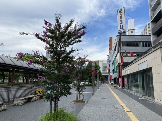 今回は約5年ぶりとなる名古屋遠征ですが、久々の名古屋ということで色々と食べ歩いたり、ナゴヤドームでの野球観戦などで名古屋を満喫できました！<br /><br />試合観戦の翌日、せっかくだったので久々に三重まで足を延ばして、四日市や津、松阪、伊勢などを観光することにしました。<br /><br />※試合詳細<br />明治安田生命 J1リーグ 第27節<br />2022年8月27日(土)18:03KO【豊田スタ】<br />名古屋グランパス 0-2 ガンバ大阪<br />入場者数：31,214人<br /><br />＊滞在先ホテル<br />8/27～8/28　1泊　ハミルトンホテル-ブルー名駅南