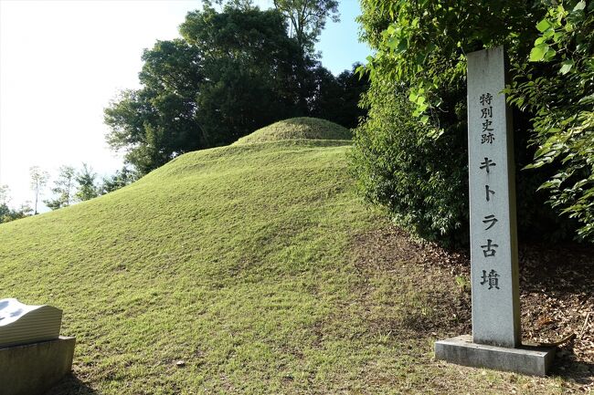 中学校の修学旅行以来の飛鳥訪問です。何故50年(正確には49年)もご無沙汰だったのか？答えは簡単、50年前の記憶が楽しいモノではなかったから。そもそも着てった服がパツパツで身動き取れなかったんですよ。要は不快度MAXです★<br />まぁ、それに関しては色々有って、結果、進学先が偏差値63の都立白鴎高校から某工業高校に変更となるという、その後の人生に多大な影響を及ぼした出来事の発端が修学旅行(その準備から)だったのです。<br /><br />とは言え、既に半世紀も昔の話で、息子は奈良に住んでるし、キトラ古墳壁画公開の予約も取れたし、今更こだわる理由も無いので、出かけてみた訳です。<br /><br />で、PHOの訪れた3日後にNHKの『歴史探偵』で、「古代史の聖地・飛鳥を自転車で巡る」回が放送され、其処で復習出来たのはラッキーなのか、1週遅れのアンラッキーなのか(笑)<br />