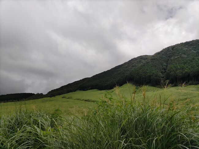 最近近場への旅行にハマってます。<br />やっぱり移動が楽ですね。<br />夏休みも県内で。<br />でも一泊では少し行きづらいかな?と思った箱根の奥の方、仙石原へ行ってきました。