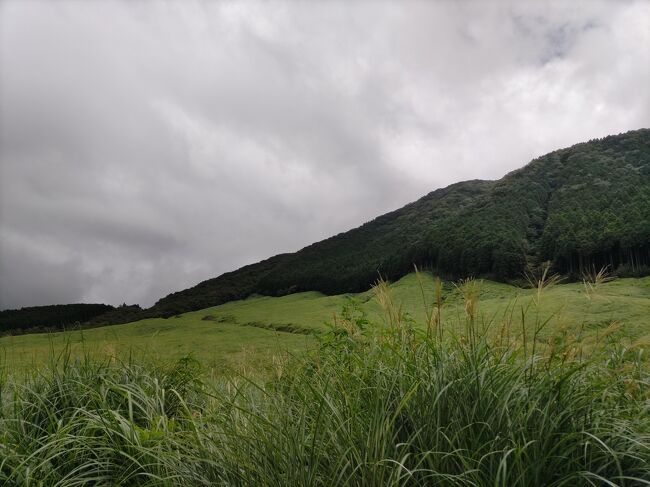 最近近場への旅行にハマってます。<br />やっぱり移動が楽ですね。<br />夏休みも県内で。<br />でも一泊では少し行きづらいかな？と思った箱根の奥の方、仙石原へ行ってきました。