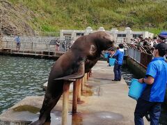 小樽観光おたる水族館と隣の遊園地、灯台と鰊御殿、天狗山夜景