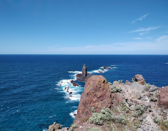 夏の家族旅行で積丹半島に&#9992;　神威岬や島武意海岸で美しい日本海を眺めました。何と海岸にはツリガネニンジンやナデシコなど山の花がきれい&#128161;<br />海外に行けないけどどうする？→じゃ北海道でも……→でも札幌や小樽は行ったっしょ(&gt;&lt;)→なら少し足を延ばして積丹半島に、という安易なchoiceでしたが、喜んでもらえたようで(^o^)<br />宿も海鮮づくしで、特に鮑のバター焼きがbeautiful！<br />