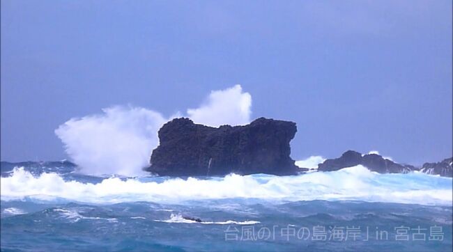 2022年9月1日~8日まで<br />8度目の宮古島旅行に行く予定で航空券・ホテル・レンタカーと半年前から<br />予約をして 楽しみにしていたところ<br />8月22日に台風9号と10号のダブル台風が発生し<br />26日まで台風として居座る感じで、この後丁度9月1日から良い感じで<br />台風を避けて<br />宮古島に8日間の旅行に行けると喜んでいたのですが<br />8月28日に台風11号が発生し<br />当初の台風進路予想では31日には九州を北に抜ける予報で<br />安心していたら<br />当初の予報とは全く違う方向に動き出し(今ではネットで当初の進路予想を見つけようとしても出てきません 恥ずかしいので削除したのでしょうか?)<br />どんどん西に移動して宮古島直撃!!<br />しかも猛烈に強い!<br />変わった動きで宮古島周辺に5日間ほど居座る感じ<br />聞いた事無い! 普通は南から北に通り過ぎる感じですよね<br />「31日に九州北に」を信用していたので安心していて<br />キャンセルなんて考えもしていなかったので<br />結局8月31日旅行の出発日の前日キャンセルなので<br />キャンセル料100%!!!<br />9月1日の宮古島行の飛行機が欠航になればキャンセル料は無しだったのに<br />どうして飛ぶ???<br />恨みましたがこればっかりは どうしょうも無い<br /><br />これから宮古島に旅行に行かれる方の少しでも参考になれば幸いです。<br /><br />