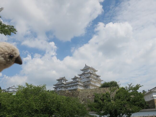 そろそろ海外旅行にも行けるようになりつつあるとはいえ、まだ帰国前のPCR検査も必要だし、万が一海外で罹患してしまったら、しばらく帰国できないという今の日本の状況ではしがないサラリーマンのgoemonpはおいそれと海外に行くわけにもいきません。<br />というわけで今年の夏休みはまたしても国内旅行。一度行ってみたかった姫路城と、城崎温泉が候補にあがりましたが、関東在住だとなかなか中国地方を訪れる機会もないので、フォートラの地図穴埋めもかねて、気になる中国地方の観光地を一気巡りしてまいりました。<br /><br />今回も我が家のマスコット、桜文鳥雛ぬいぐるみのゴエモンと、シンガポールアヒルのコンちゃんが旅の友です。<br /><br />Part1は姫路城→赤穂→倉敷と山陽道を西へ。<br />