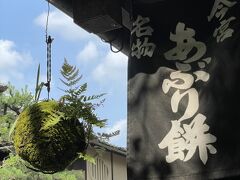 京都耐久お散歩～炙り餅と寺社巡り(2022.6.19)～