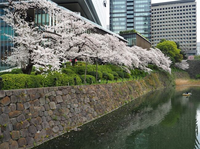 千鳥ヶ淵にお花見に出かけました。<br />平日でしたがかなり混雑していました。<br />お天気もよく、桜もちょうど見ごろでした。