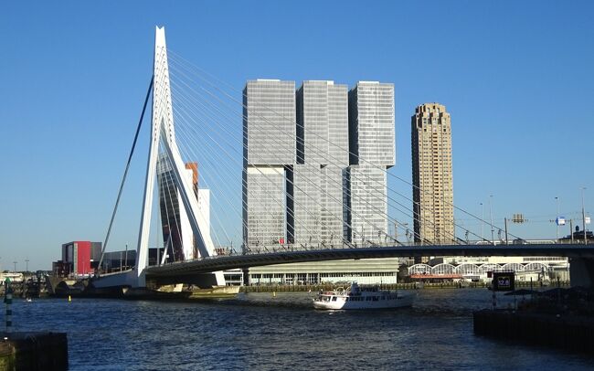 2019オランダ、ベルギーひとり旅01：ロッテルダム、旅の始まりは奇妙な建物の港町