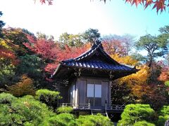 2020年11月 京都の旅2日目～嵐山で紅葉を愛で豆腐尽くしのお昼に。午後は築三百年の町家で和スイーツ