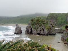 八重山諸島＆沖縄本島２０２２ＧＷ旅行記　【１３】沖縄本島４（やんばる１）