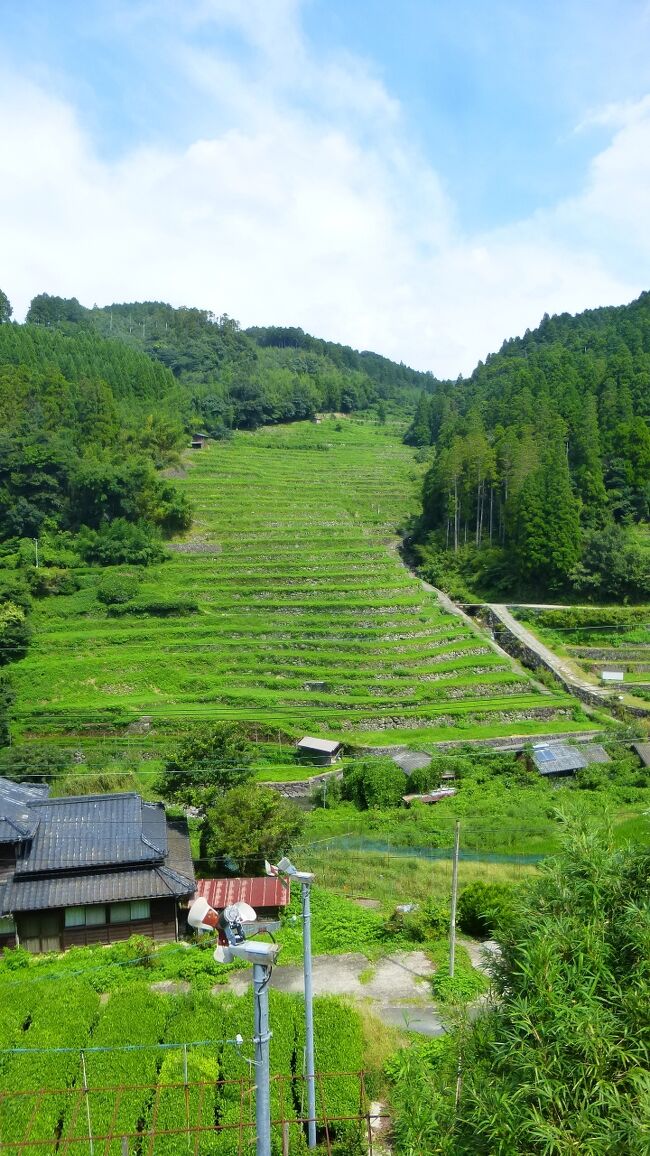 個人的に日程の都合が良かった８月２８日は新月の翌日だったので、当初は大分県久住高原の宿に泊まって星空を眺めたいと思っていました。<br /><br />久住高原星空の巡り公式サイト：https://hoshizora-kuju.oita-shokokai.or.jp/<br /><br />ただ、その前に嬉野温泉１泊旅行を急に入れてしまった為、交通費などが結構掛かる（特急ゆふいんの森往復＋レンタカー代＋宿代）久住高原行きは幾らなんでも経済的に厳しくなったのです。<br /><br />でも８月２８日の天気はそう悪くない予報だったので、近場の福岡県内の何処かで星空が観られないかをネットで探した所、今回行った、八女市星野村にある「星の文化館」がヒットしたのです。<br /><br />「星の文化館」公式サイト：https://www.hoshinofurusato.jp/constellation/<br /><br />星野村観光ナビ公式サイト：https://www.hoshinofurusato.jp/<br /><br />そこにある天文台（九州最大級１００ｃｍ口径の天体望遠鏡）併設の宿泊施設のツインルームに１部屋空きがあった為、急いで予約を入れたのです（ここの公式サイトからの直接予約）。<br /><br />今回は、この「星の文化館」の宿泊施設のツインルームの１人利用、弁当の朝食付き、近くの温泉施設入浴券付きで、８，９３８円（宿泊税別途必要）だったのですが、福岡県の避密の旅キャンペーン利用で４，０００円割引になり、福岡県の地域共通クーポン１，０００円分が貰えたので、実質、約４，０００円で泊まられました。<br /><br />また、今回は西鉄久留米駅近くのニッポンレンタカーで、レンタカーを２４時間借りたのですが、これも福岡の避密のレンタカー３，０００円キャッシュバックキャンペーンが使え、福岡県内宿泊だと２日間で最大６，０００円のキャッシュバックなので、実質的はレンタカー代はタダ（ガソリン代のみ）になりました。<br />なお、このキャンペーンはネットで偶然見つけましたが、今回利用までまったく知りませんでした。<br /><br />福岡の避密のレンタカー３，０００円キャッシュバックキャンペーン公式サイト：https://fukuoka-yokatoko.net/<br /><br />今回の目的地は、八女市星野村にある「星の文化館」ですが、１日目そこに行く前に「高良大社」、「八女中央大茶園展望所」に立ち寄り、２日目のチェックアウト後は、「茶の文化館」、「広内・上原地区の棚田の展望台」、「調音の滝」、「浮羽稲荷神社」に立ち寄る事が出来ました。<br /><br /><br />今回の日程・行程は下記の通りです。<br /><br /><br />８月２８日（日）<br /><br />西鉄福岡（天神）　１２：００－西鉄特急－西鉄久留米　１２：２９<br /><br />・ニッポンレンタカー西鉄久留米営業所でコンパクトクラスを１３時から２４時間借り受け<br />じゃらんのクーポン（７００円）利用でレンタカー代５，９００円（免責補償料、ＮＯＣ込み）でしたが、福岡の避密のレンタカー３，０００円キャッシュバックキャンペーン利用で、返却時に５，９００円のキャッシュバックを受けたので、実質無料（ガソリン代のみ）。<br />・「筑後国一の宮高良大社」参拝<br />・「八女中央大茶園展望所」観光<br />・「八女市星野総合保健福祉センターそよかぜ」内のレストランで夕食<br />・「星の温泉館きらら」で温泉入浴<br /><br />「星の文化館」泊　　<br />公式サイト：https://www.hoshinofurusato.jp/constellation/<br /><br />２１時３０分からプラネタリウム観賞<br />２２時から０時前まで星空観賞会が催され、屋上テラスでの天体観測の後、天文台内に入り、九州最大級口径１００ｃｍの本格的な天体望望遠鏡を使っての天体観測会（どちらも宿泊者は無料で参加出来ます）。<br /><br />既に投稿した「星の文化館」の私のクチコミ<br />https://4travel.jp/dm_hotel_tips/14786468<br /><br /><br />８月２９日（月）<br /><br />・部屋内で食べる朝食弁当（８時３０分にフロントで渡されます）。<br />・「茶の文化館」立ち寄り<br />・「広内・上原地区の棚田の展望台」観光<br />・「調音の滝」観光<br />・「浮羽稲荷神社」参拝<br />・セルフスタンドで給油後レンタカー返却<br /><br />西鉄久留米　１２：４４－西鉄急行－西鉄福岡（天神）　１３：２４<br /><br />-----------------------------------------------------------------------------------------<br />「茶の文化館」（星のふるさと公園）を後にして、「広内・上原地区の棚田の展望台」に立ち寄った時の様子です。<br />-----------------------------------------------------------------------------------------<br />これ以前の旅行記です。↓↓<br />【西鉄福岡（天神）駅から西鉄特急で西鉄久留米駅に移動後レンタカー借り受け編】<br />https://4travel.jp/travelogue/11776088<br />【「筑後国一の宮高良大社」参拝編】<br />https://4travel.jp/travelogue/11776117<br />【八女中央大茶園展望所からの眺望編】<br />https://4travel.jp/travelogue/11776197<br />【八女中央大茶園から星の文化館に移動編】<br />https://4travel.jp/travelogue/11776215<br />【「星の文化館」内外散策編】<br />https://4travel.jp/travelogue/11776253<br />【公共施設そよかぜ内のレストラン「やまなみ」で夕食編】<br />https://4travel.jp/travelogue/11776360<br />【「星の温泉館きらら」で温泉入浴編】<br />https://4travel.jp/travelogue/11776393<br />【宿泊者専用プラネタリウム観賞＆天体観測会参加編】<br />https://4travel.jp/travelogue/11776424<br />【「星の文化館」併設プチホテル ツインルーム宿泊編】<br />https://4travel.jp/travelogue/11776577<br />【「茶の文化館」立ち寄り編】<br />https://4travel.jp/travelogue/11776642