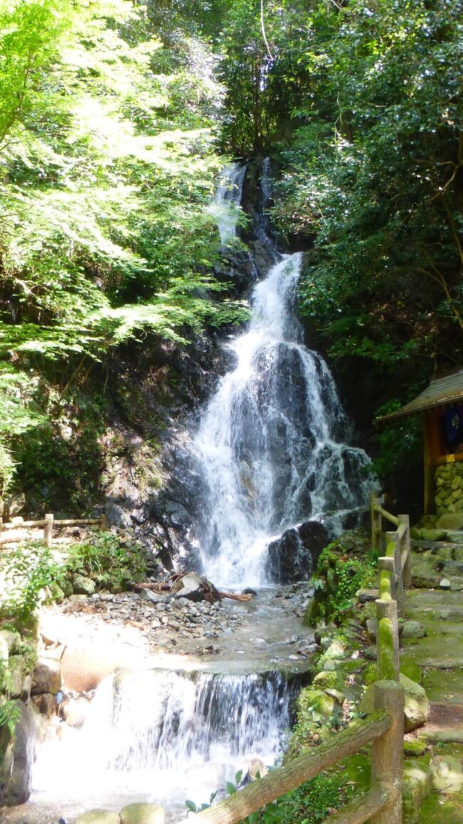 個人的に日程の都合が良かった８月２８日は新月の翌日だったので、当初は大分県久住高原の宿に泊まって星空を眺めたいと思っていました。<br /><br />久住高原星空の巡り公式サイト：https://hoshizora-kuju.oita-shokokai.or.jp/<br /><br />ただ、その前に嬉野温泉１泊旅行を急に入れてしまった為、交通費などが結構掛かる（特急ゆふいんの森往復＋レンタカー代＋宿代）久住高原行きは幾らなんでも経済的に厳しくなったのです。<br /><br />でも８月２８日の天気はそう悪くない予報だったので、近場の福岡県内の何処かで星空が観られないかをネットで探した所、今回行った、八女市星野村にある「星の文化館」がヒットしたのです。<br /><br />「星の文化館」公式サイト：https://www.hoshinofurusato.jp/constellation/<br /><br />星野村観光ナビ公式サイト：https://www.hoshinofurusato.jp/<br /><br />そこにある天文台（九州最大級１００ｃｍ口径の天体望遠鏡）併設の宿泊施設のツインルームに１部屋空きがあった為、急いで予約を入れたのです（ここの公式サイトからの直接予約）。<br /><br />今回は、この「星の文化館」の宿泊施設のツインルームの１人利用、弁当の朝食付き、近くの温泉施設入浴券付きで、８，９３８円（宿泊税別途必要）だったのですが、福岡県の避密の旅キャンペーン利用で４，０００円割引になり、福岡県の地域共通クーポン１，０００円分が貰えたので、実質、約４，０００円で泊まられました。<br /><br />また、今回は西鉄久留米駅近くのニッポンレンタカーで、レンタカーを２４時間借りたのですが、これも福岡の避密のレンタカー３，０００円キャッシュバックキャンペーンが使え、福岡県内宿泊だと２日間で最大６，０００円のキャッシュバックなので、実質的はレンタカー代はタダ（ガソリン代のみ）になりました。<br />なお、このキャンペーンはネットで偶然見つけましたが、今回利用までまったく知りませんでした。<br /><br />福岡の避密のレンタカー３，０００円キャッシュバックキャンペーン公式サイト：https://fukuoka-yokatoko.net/<br /><br />今回の目的地は、八女市星野村にある「星の文化館」ですが、１日目そこに行く前に「高良大社」、「八女中央大茶園展望所」に立ち寄り、２日目のチェックアウト後は、「茶の文化館」、「広内・上原地区の棚田の展望台」、「調音の滝」、「浮羽稲荷神社」に立ち寄る事が出来ました。<br /><br /><br />今回の日程・行程は下記の通りです。<br /><br /><br />８月２８日（日）<br /><br />西鉄福岡（天神）　１２：００－西鉄特急－西鉄久留米　１２：２９<br /><br />・ニッポンレンタカー西鉄久留米営業所でコンパクトクラスを１３時から２４時間借り受け<br />じゃらんのクーポン（７００円）利用でレンタカー代５，９００円（免責補償料、ＮＯＣ込み）でしたが、福岡の避密のレンタカー３，０００円キャッシュバックキャンペーン利用で、返却時に５，９００円のキャッシュバックを受けたので、実質無料（ガソリン代のみ）。<br />・「筑後国一の宮高良大社」参拝<br />・「八女中央大茶園展望所」観光<br />・「八女市星野総合保健福祉センターそよかぜ」内のレストランで夕食<br />・「星の温泉館きらら」で温泉入浴<br /><br />「星の文化館」泊　　<br />公式サイト：https://www.hoshinofurusato.jp/constellation/<br /><br />２１時３０分からプラネタリウム観賞<br />２２時から０時前まで星空観賞会が催され、屋上テラスでの天体観測の後、天文台内に入り、九州最大級口径１００ｃｍの本格的な天体望望遠鏡を使っての天体観測会（どちらも宿泊者は無料で参加出来ます）。<br /><br />既に投稿した「星の文化館」の私のクチコミ<br />https://4travel.jp/dm_hotel_tips/14786468<br /><br /><br />８月２９日（月）<br /><br />・部屋内で食べる朝食弁当（８時３０分にフロントで渡されます）。<br />・「茶の文化館」立ち寄り<br />・「広内・上原地区の棚田の展望台」観光<br />・「調音の滝」観光<br />・「浮羽稲荷神社」参拝<br />・セルフスタンドで給油後レンタカー返却<br /><br />西鉄久留米　１２：４４－西鉄急行－西鉄福岡（天神）　１３：２４<br /><br />-----------------------------------------------------------------------------------------<br />星野村の「広内・上原地区の棚田の展望台」を後にし、うきは市浮羽町妹川にある「調音の滝」に立ち寄った時の様子です。<br />-----------------------------------------------------------------------------------------<br />これ以前の旅行記です。↓↓<br />【西鉄福岡（天神）駅から西鉄特急で西鉄久留米駅に移動後レンタカー借り受け編】<br />https://4travel.jp/travelogue/11776088<br />【「筑後国一の宮高良大社」参拝編】<br />https://4travel.jp/travelogue/11776117<br />【八女中央大茶園展望所からの眺望編】<br />https://4travel.jp/travelogue/11776197<br />【八女中央大茶園から星の文化館に移動編】<br />https://4travel.jp/travelogue/11776215<br />【「星の文化館」内外散策編】<br />https://4travel.jp/travelogue/11776253<br />【公共施設そよかぜ内のレストラン「やまなみ」で夕食編】<br />https://4travel.jp/travelogue/11776360<br />【「星の温泉館きらら」で温泉入浴編】<br />https://4travel.jp/travelogue/11776393<br />【宿泊者専用プラネタリウム観賞＆天体観測会参加編】<br />https://4travel.jp/travelogue/11776424<br />【「星の文化館」併設プチホテル ツインルーム宿泊編】<br />https://4travel.jp/travelogue/11776577<br />【「茶の文化館」立ち寄り編】<br />https://4travel.jp/travelogue/11776642<br />【「広内・上原地区の棚田の展望台」立ち寄り編】<br />https://4travel.jp/travelogue/11776772