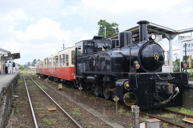 小湊鉄道は菜の花やひまわりのシーズンに写真撮影に出かけますが、撮ってばっかりでは申し訳ないので、今回、トロッコ列車に乗ってみました。<br />トロッコ列車は整理券が必要で、小湊鉄道のホームページから予約できますが、今回は予約なしで乗ってみます。<br /><br />写真はこの日だけではなく、それまでに撮りだめたものも混在します。しかもフィルム写真も。どれがフィルム写真か違いが分かりますか?
