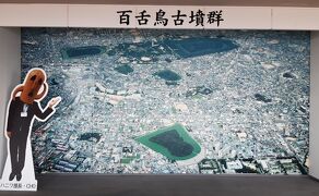 一時帰国2022(11)～堺～青春時代の町～11,811歩