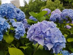 プレミアホテル中島公園札幌　再訪