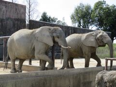 心の安らぎ旅行（2022年3月 初めて東武動物公園に行ってみました♪Part3）