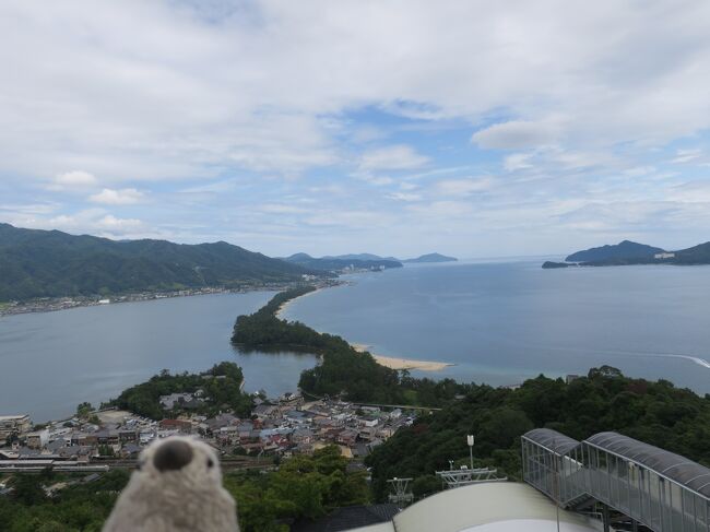 そろそろ海外旅行にも行けるようになりつつあるとはいえ、まだ帰国前のPCR検査も必要だし、万が一海外で罹患してしまったら、しばらく帰国できないという今の日本の状況ではしがないサラリーマンのgoemonpはおいそれと海外に行くわけにもいきません。<br />というわけで今年の夏休みはまたしても国内旅行。一度行ってみたかった姫路城と、城崎温泉が候補にあがりましたが、関東在住だとなかなか中国地方を訪れる機会もないので、フォートラの地図穴埋めもかねて、気になる中国地方の観光地を一気巡りしてまいりました。<br /><br />今回も我が家のマスコット、桜文鳥雛ぬいぐるみのゴエモンと、シンガポールアヒルのコンちゃんが旅の友です。<br /><br />Part5は城崎温泉に宿泊し、翌日日本三景の天橋立を訪問。