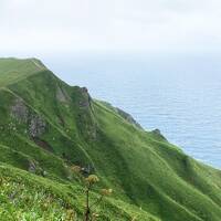 【礼文・利尻の旅 #2】初めての礼文島、強風の中で桃岩展望台コースを歩く！