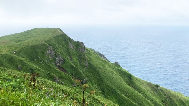 この日は未明に宗谷で強い地震があり、寝ていたものの何だか地震らしきものがあったことは記憶してます。礼文は震度１～２だったようです。<br /><br />礼文島２日目はトレッキングの予定にしていました。<br />いちばん初級と言われる桃岩展望台コースです。<br /><br />前日夕方時点の天気予報は、多くのお天気サイトが晴天予報だったにも関わらず、朝起きるとどんより曇り空で、強風注意報が出るくらい風の強い日でした。天気が良いことを前提にして予定を立てていましたが、天気予報も当てにならない島の天気で、明日好天になる保証もないため、予定を決行しました。<br /><br />前日、コースのどちらからスタートするのが良いか、宿の方に聞いたのですが、北（香深）から南（知床）に歩く人が多いが、知床に着いた後に１日片手本数くらいの路線バスか、タクシーを呼んで香深に戻るしかなくなるので、南から北に向けて歩く人もいるとのことで、南から北に歩くことにしました。<br />https://rebun-trail.jp/momoiwaobservatorycourse/<br /><br />朝食後、宿の車で島の南の集落である知床近くの「北のカナリアパーク」まで送ってもらいました。ここは、利尻山がきれいに見える場所ということで、「北のカナリアたち」という吉永小百合さん主演の映画のロケ用に新たに作った学校のセットを核に、映画のロケ地公園として整備している場所です。映画は見ていないのですが面白かったです。<br /><br />さて、ここからトレッキングスタートです。<br />前日のアドバイスのなかで、南から歩く場合は、最初のダラダラ上りがきついということでした。振り返るときれいな利尻山が見えるのでエネルギー補給はそれで、ということでしたが、利尻山なんて見えやしない。厳しい上りになることを覚悟しました。<br /><br />日頃の運動不足もあり、なかなかきつい上りでしたが、登りきるころから、視界が開けて、島の尾根部分を歩くことになります。景色はとてもきれいなのですが、かなりしっかりした手すりはあるものの、その先は断崖絶壁。風にかなり煽られ、高所恐怖症には最初のうちやや厳しかったです（笑）<br /><br />ただ、風にも慣れてきて、余裕が出てくると、楽しむ余裕も出てきて、景色や植物をしっかり楽しむこともできました。次回歩くとしたら天気の良い日に歩きたいな～。でもこればかりはね…（笑）<br /><br />最初に登った分、下り基調の後半、そしてそのまま宿に着けたのもはとてもありがたかったです。気温は20～25℃くらいだったと思うのですが、湿度が異常に高く、完歩して宿に着いたときは、全身汗びっしょりでした。<br /><br />とっても楽しいトレッキングでした！<br /><br />https://youtu.be/H0axat8Ie58<br />