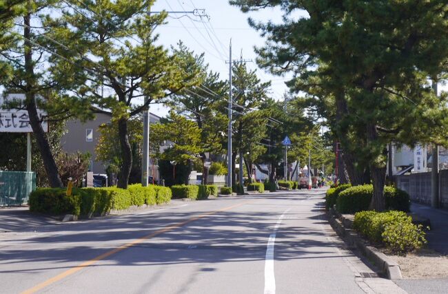 令和2年11月9日　(晴)　　名鉄知立駅から名鉄藤川駅まで<br /><br />東海道の街道歩きを続けています。<br />今回は第9回を終えた名鉄知立駅からで、前回の続きを再開しました。<br />歩いたのは知立市、安城市。そして岡崎市でした。岡崎市は宿場町であり、城下町でもあります。御城下を横に貫く「岡崎城下二十七曲がり」が有りました。城下の防備で桝形が何箇所も有りました。<br />まだ、設置されて新しいと思われる岡崎城下二十七曲がりのポストを探して歩くのは、オリエンテーリング的な感覚がしました。<br />しかし、市の中心から外れた処では、どちらに向かって良いのだろうかと思うような処が何箇所か有りました。街道を歩くモノが分かるようにすべきではなかろうか。<br /><br />名鉄知立駅　→　知立宿本陣跡　→　知立松並木　→　八橋への道標　→　来迎寺一里塚<br />　→　常夜燈　→　明治用水関係記念碑　→　雲竜の松　→　一里塚跡　→　予科練之碑<br />　→　猫田交差点　→　芭蕉の句碑　→　十王堂　→　矢作橋　→　八丁味噌蔵<br />　→　岡崎城下27曲りの碑　→　伝馬町常夜燈　→　大平一里塚　→　乙川<br />→　東海道の松　→　藤川松並木　→　藤川一里塚　→　十王堂　→　名鉄藤川駅<br />　