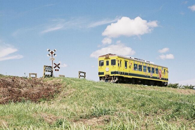 トロッコ列車で養老渓谷駅に着いた後は、小湊鉄道の終点、上総中野まで移動、その後、いすみ鉄道で太平洋側の大原まで行きます。いすみ鉄道はトロッコなどの特別列車ではなく、黄色いごくごく普通の車両でした。<br />この旅行記にもそれまでに撮りだめたフィルム写真が混在しています。