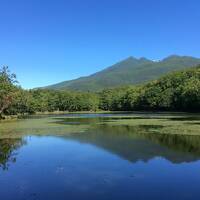 大自然を満喫。道東ドライブ旅（屈斜路～知床～野付半島）