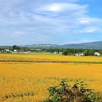 海鮮丼と留萌線　北海道ローカル線巡りの旅（留萌・空知編）