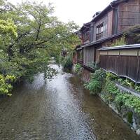 京都　高瀬川・鴨川・白川を朝散歩