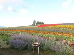 2022年8月 富良野・美瑛・旭川 3泊4日の旅＜第1日＞成田→新千歳空港→富良野