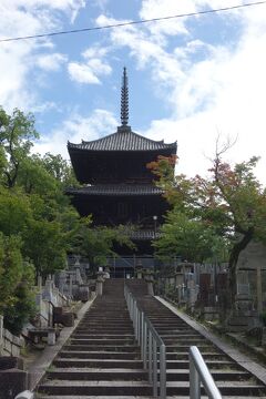 京都　金戎光明寺　三重塔（重要文化財）と平安神宮