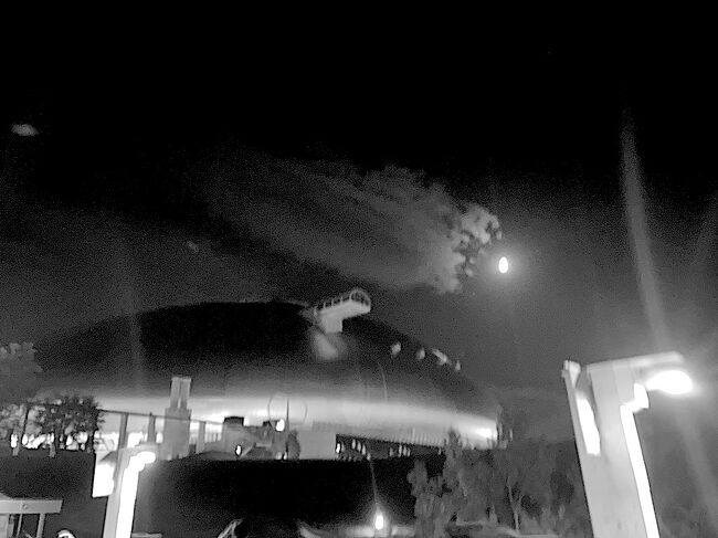 バスで鵡川へ向かいます。<br />列車に乗る前に鵡川の街中を少し歩きます。<br /><br />日高本線に乗ります。<br />(前回乗った際は真っ暗で景色が見られなかったので。)<br /><br />その後、札幌へ移動しサッポロビール博物館、千代鶴ミュージアムを回って、夜は野球観戦です。