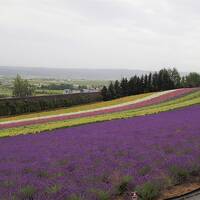 りくべつ鉄道運転体験後の北の国からの世界へ