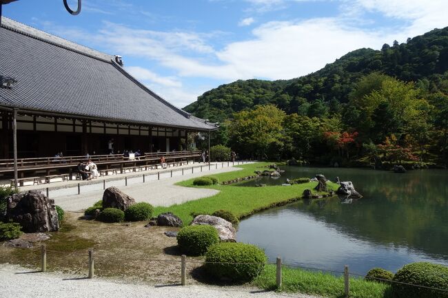 嵐山 天龍寺・竹林の小径・渡月橋・人力車