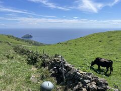 隠岐諸島めぐり一週間の前日と1日目(松江市、知夫里島)