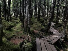 【自然の中でリフレッシュ旅/清里・八ヶ岳】2日目：滝沢牧場～白駒池