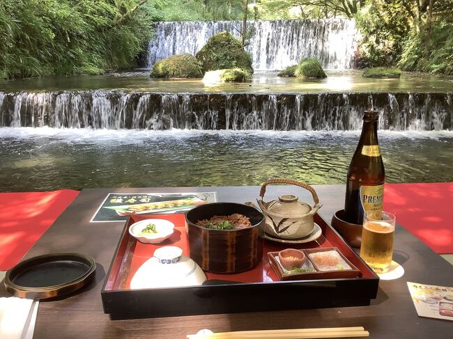 &quot;京の奥座敷&quot;と呼ばれる貴船の川床、山を流れる川の真上に設けられています。昔から一度行ってみたかったのですが、地元から貴船まで足を伸ばすのが面倒で。今年こそは行ってみようかと。それで7月頃からお店の予約を入れ始めたのですが・・。<br /><br />ところがですね、私が予約した一回目、雨、二回目、再び雨。川床は雨が降ると使用できません。それでは貴船まで行く意味が無い。残念ながらキャンセルさせていただきました。そして三回目、やはり雨。やっぱり貴船は雨の多い場所なのでしょうね。だからこそ日照りの時などの祈りの場所となったのでしょうが、私には残念な日が続きました。そして決死の四回目。コレがダメならもう今季は有りません(ケガしたプロ野球選手か!)。そしたら、この日は見事なピーカン。やったぁ!　私の祈りが水神様に通じたぁ! お陰で9月の初め、万全を期しての貴船訪問となりました。<br /><br />行程:「貴船神社」→「水源の森天山」で川床料理→「鞍馬寺」