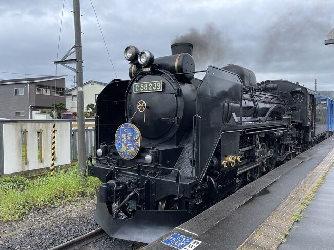 2022年8月27・28日天気予報により雨模様なので岩手県遠野駅のホームにてSL銀河を入線から発車まで見学する。<br />SL銀河は遠野駅で蒸気機関車への給水とメンテナンスを行い乗客はこの間に昼食や駅前等で見学やお土産購入して時間を過ごします。<br />停車時間は下りは約1時間・上りは約2時間も停車しました。<br />なのでSL銀河をたっぷり触れたり客車内部見学しました。<br />入場券150円での見学に感激しました。<br /><br />SL銀河は客車の経年劣化により本年9月で定期運行が終了しますので是非機会があれば乗車や見学をして下さい。<br />