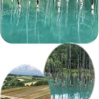 美瑛は200万年前の火砕流によってできた丘なんですね。青い池・四季彩の丘・サクランボ狩り