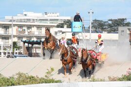 JALどこかにマイル　29回目はバースデーフライトで帯広へ　　2日目いけだワイン城とばんえい競馬を楽しむ　