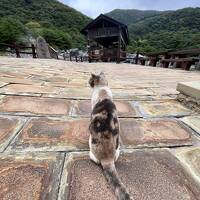 雲仙の地獄で温泉に入る