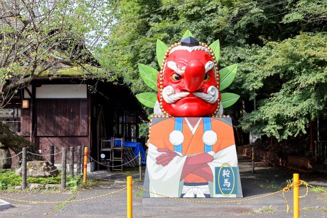 平日の京都、応援する横浜F・マリノスの応援に行ってきました。<br />試合は19時キックオフなので、その前後に京都観光を楽しもうというプランです。<br />当日は試合前に広隆寺に行って嵐山から亀岡のスタジアムに向かう計画を決定済みでしたが翌日の観光コースは何案か想定。<br />迷いに迷った挙句、鞍馬山から貴船神社へ歩いて抜けるコースにしました。<br />運動不足の70歳高齢男性、不安でしたが、なんとかハイキングできました。<br />涼しい鞍馬・貴船から下界に下りたら猛暑、下鴨神社と南禅寺を回ってタイムアップとなりました。