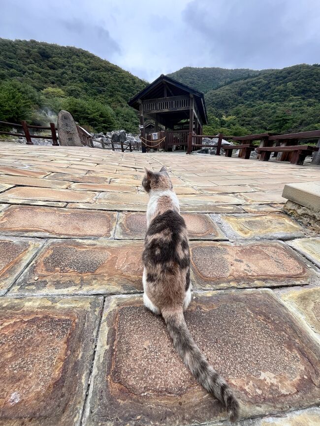 雲仙地獄に行き、近くの温泉2種に入ってきました。<br />温泉成分が濃く、しばらく汗が引かなくて困ったほどよかったです！